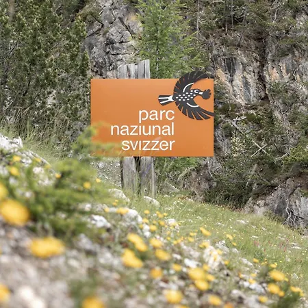 Ξενοδοχείο Baer & Post Zernez